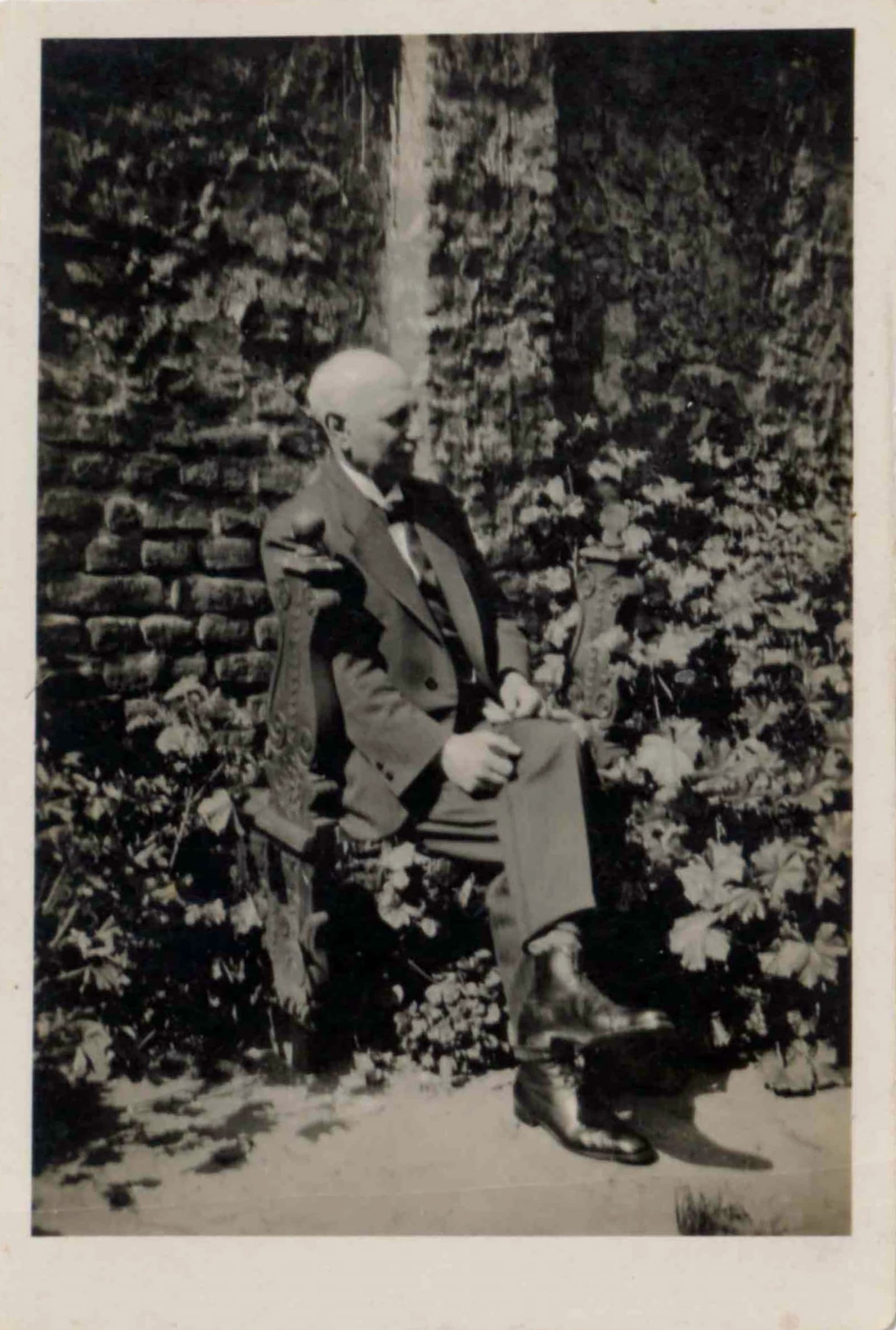 s/w Foto von Albert Italiander auf vermutlich einem Stuhl vor einer Mauer. im Hintergrund unten sind Pflanzen zu erkennen