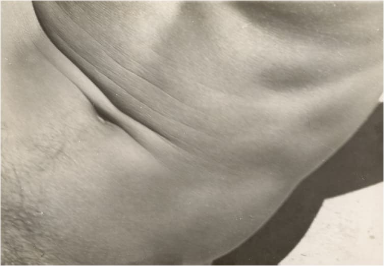 Anton in detail. 3, Close-up of belly button