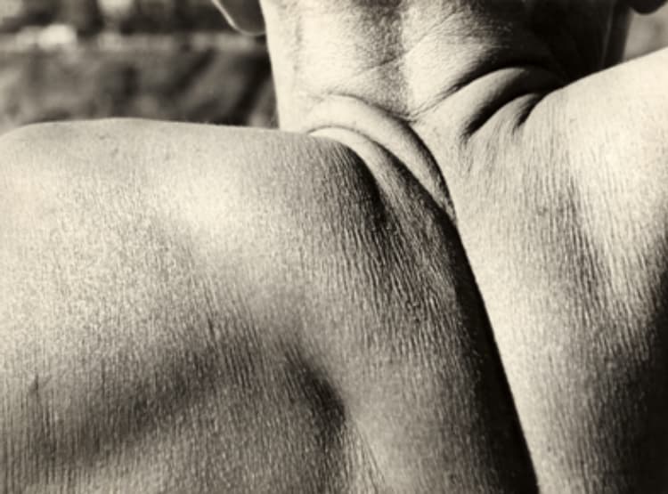 Anton in detail. 7, close-up of shoulder and neck area