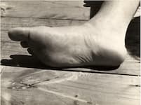 Anton en detail. 2