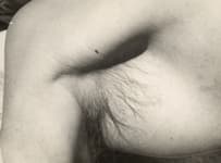 Anton en detail. 4