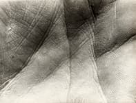 Anton en detail. 6