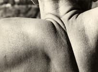 Anton en detail. 7
