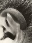 Anton en detail. 8
